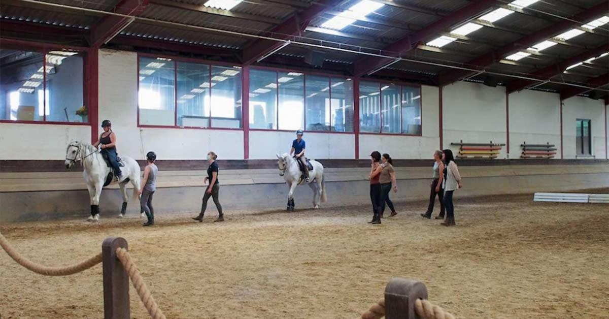 Equi-Art Reitanlage Hotel Schwall Buitenkant foto
