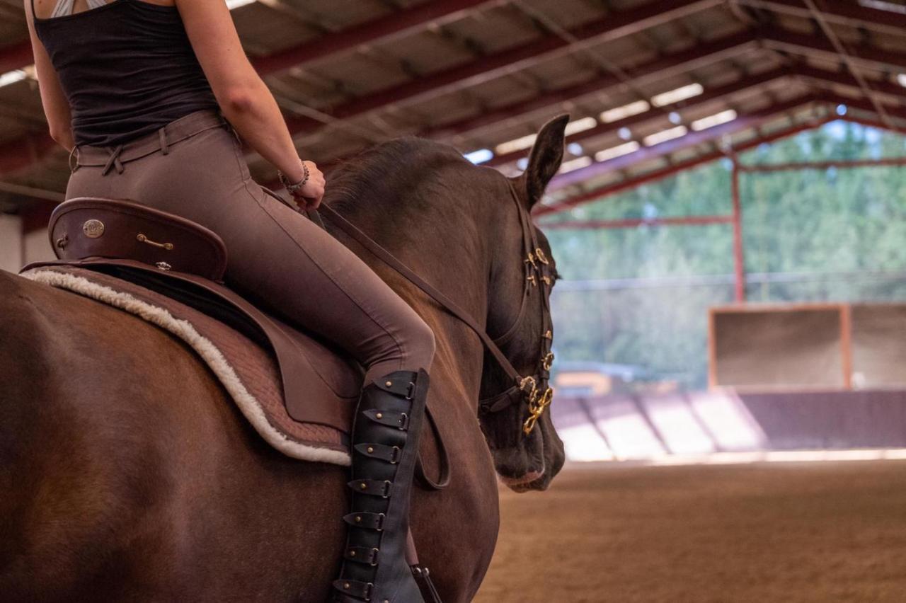 Equi-Art Reitanlage Hotel Schwall Buitenkant foto